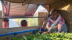 « Agriculture, paysannerie et monde rural en Algérie à l’épreuve des politiques libérales (1990- 2015) »