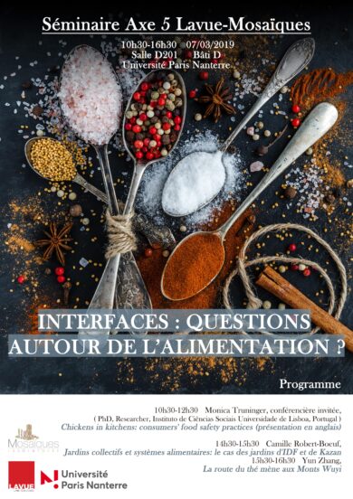 Séminaire « Interfaces : questions autour de l’alimentation? »
