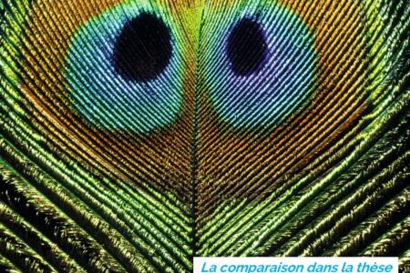Séminaire doctoral Mosaïques – La comparaison dans la thèse