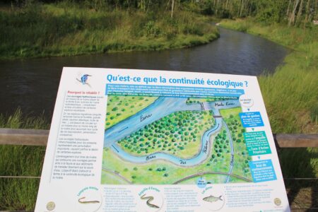 Restaurer n’est pas éduquer