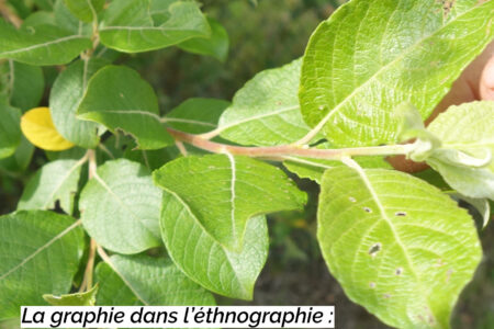 Séminaire doctoral Mosaïques – La graphie dans l’ethnographie