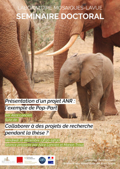 Séminaire doctoral Mosaïques – Collaborer à des projets de recherche pendant la thèse ?