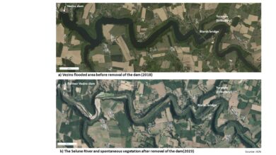 Experiencing the landscape: landscape agency in a multifunctional valley after dam removal on the Sélune River, France