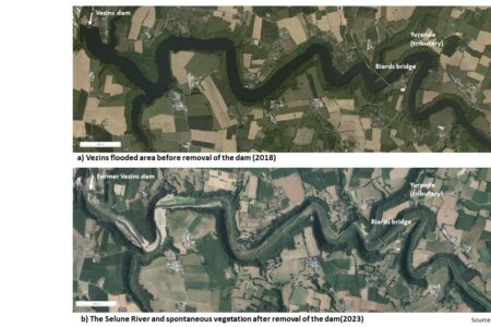 Experiencing the landscape: landscape agency in a multifunctional valley after dam removal on the Sélune River, France