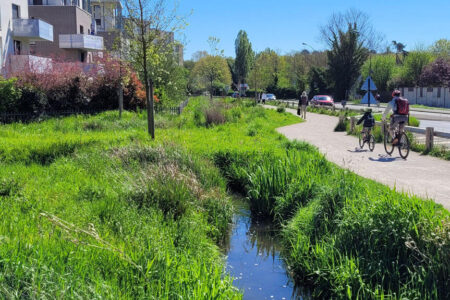 Les petites rivières urbaines : environnement, évaluation, gestion et restauration