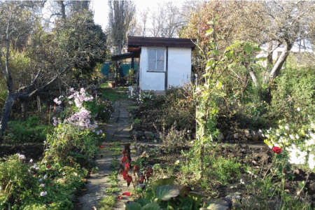 Between mainstream and alternative household food practices: exploring diverse pathways towards sustainability, by Petr Daněk (Masaryk University, Czech Republic)