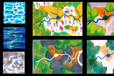Hydrosystèmes et relations interspécifiques : regards croisés sur le castor et l&rsquo;anguille