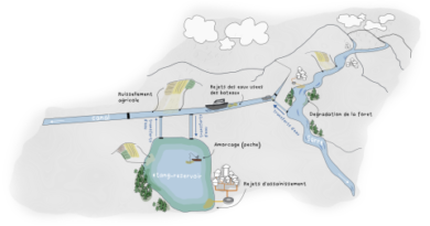 Des étangs face aux cyanobactéries