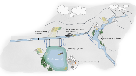 Des étangs face aux cyanobactéries