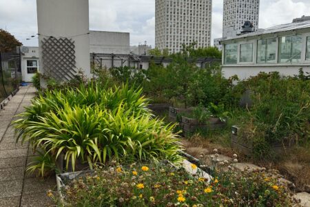 Post-doc – Chaire SHS junior Région Île-de-France – Sobriété foncière, agriculture et projets urbains (SoFA)